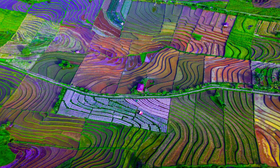 Tecnologia Topográfica